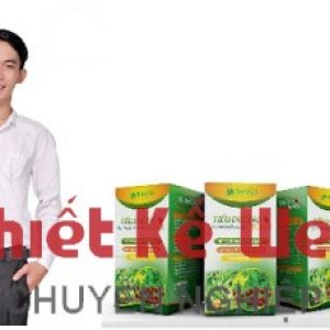 Châu Trần Phước , Công ty cổ phần Mevico, website, website cá nhân, website giới thiệu doanh nghiệp