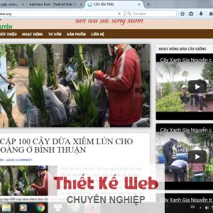 Website cây ăn trái, Vườn ươm Cây Xanh Gia Nguyễn, Website vệ tinh, SEO website, Giống cây ăn trái