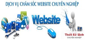 Chăm sóc website, Website, Dịch vụ chăm sóc web, Marketing online, Thiết kế website