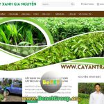 Công Ty Benet nhận làm hệ thống Marketing Online cho Cây Xanh Gia Nguyễn